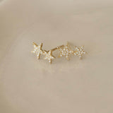 Double Star Earrings