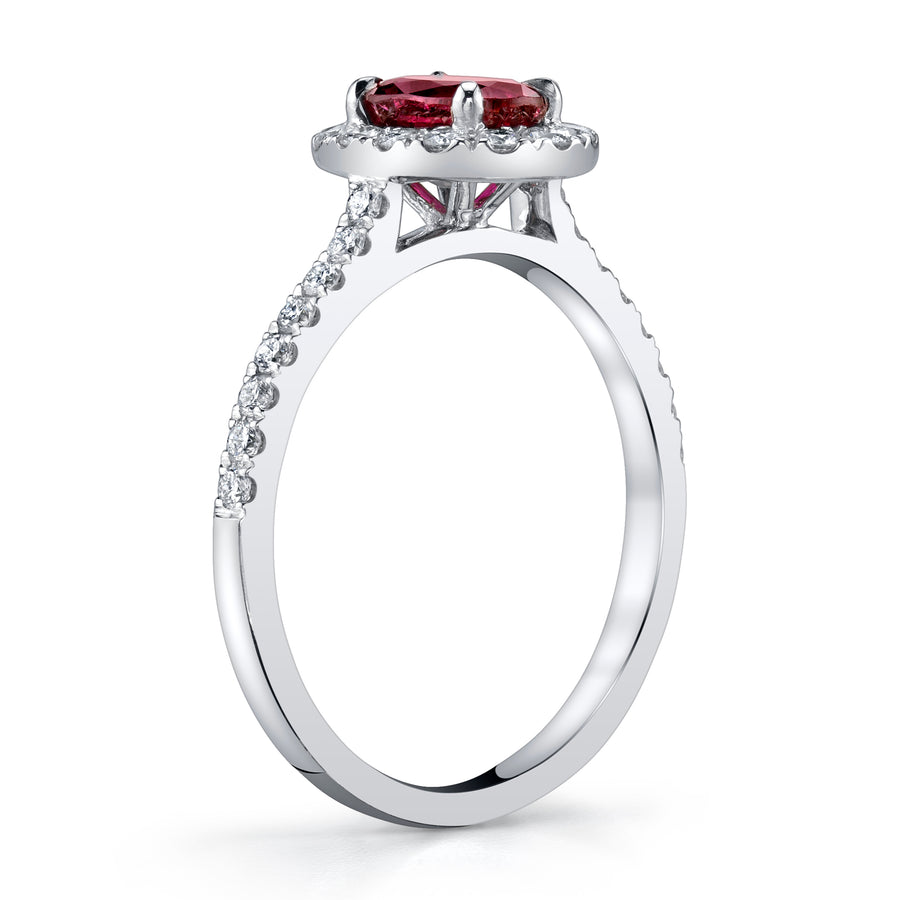 Ruby & Diamond Ring – Harold Stevens
